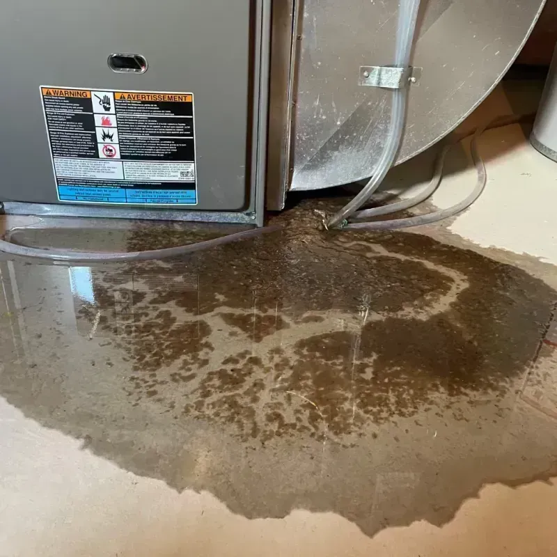 Appliance Leak Cleanup in Lincoln County, MO